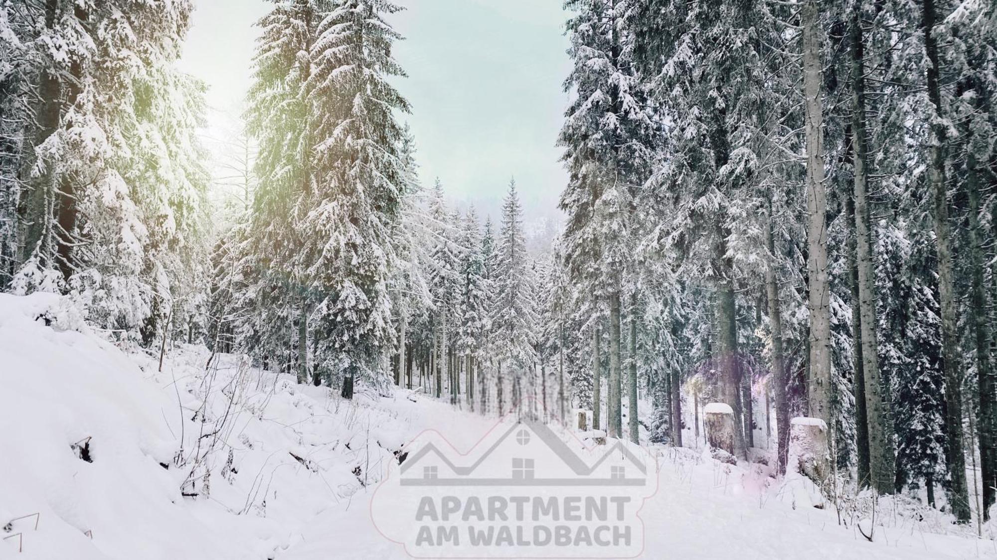 Apartment Am Waldbach Gernsbach Esterno foto